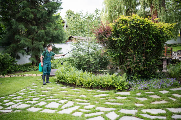Best Best Pest Control Companies  in Pilot Point, TX