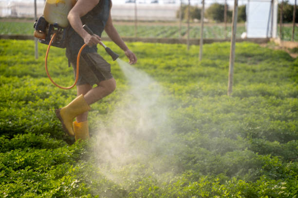 Best Pest Prevention Services  in Pilot Point, TX