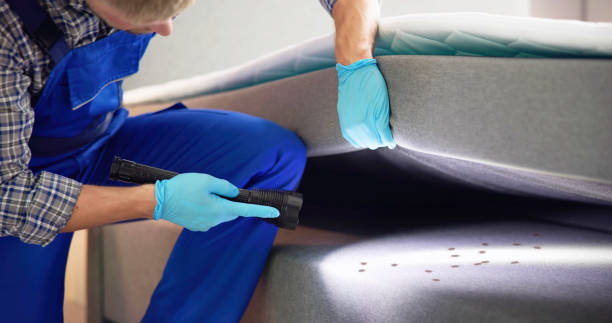 Best Pest Inspection Near Me  in Pilot Point, TX