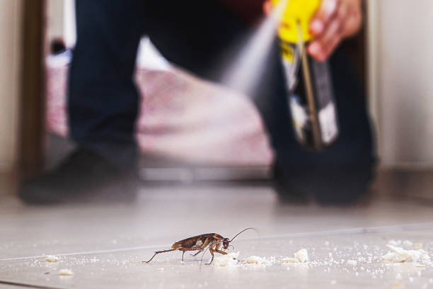 Best Commercial Pest Control Services  in Pilot Point, TX