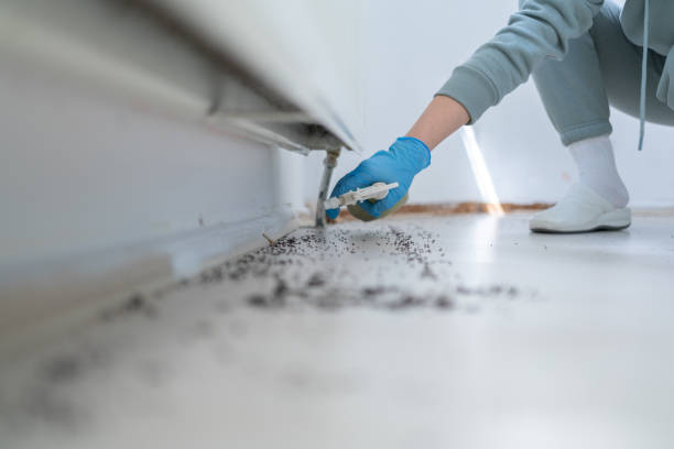 Wildlife Control Services in Pilot Point, TX